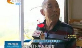 井陉最新爆料视频,揭秘神秘事件背后的真相